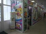 Rassikhina Svetlana Mikhaylovna. Vse dlya vashikh pitomtsev (Kurchatova Avenue, 3/3), pet shop