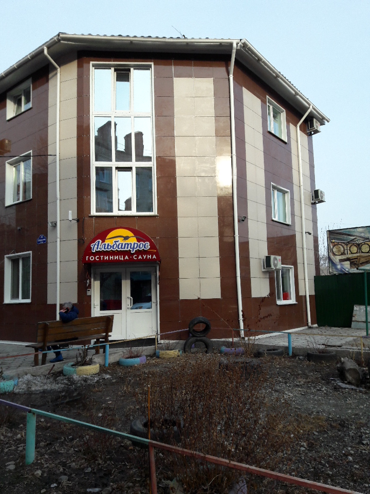 Фото Альбатрос