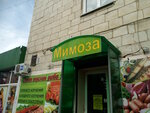 Mimoza (ulitsa Engelsa, 24), grocery