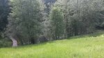 Lyzhnaya baza (Leningrad Region, Gatchina, Prioratskiy park) ، منتجع للتزلج