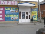 Tovary dlya otdykha i turizma (Sovetskaya ulitsa, 37) ، مستلزمات السياحة