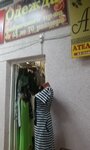 Magazin odezhdy (V-1 Microdistrict, 19) ، متجر ملابس