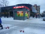 Цветы (Prosvescheniya Avenue, 74), flower shop