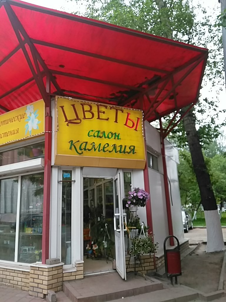 Магазин Камелия Ярославль
