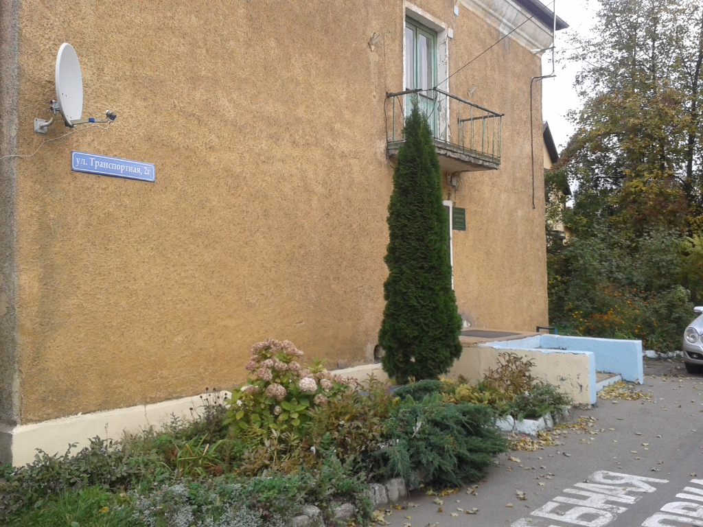 Фото Янтарь