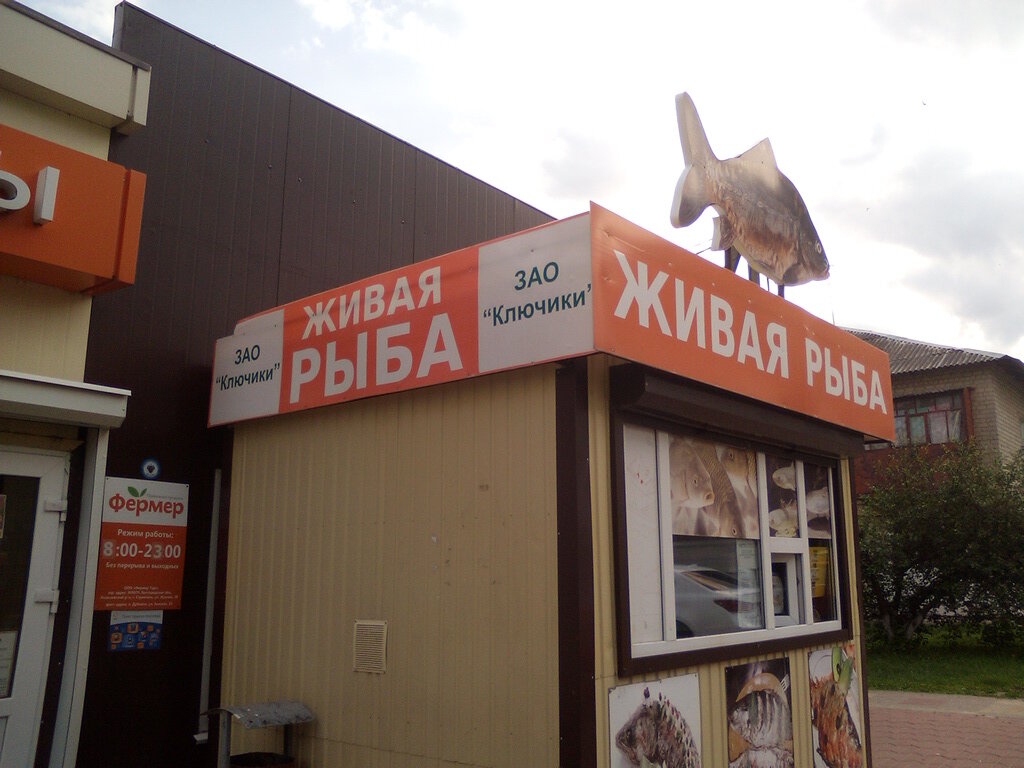 Магазин Рыбок Белгород