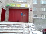 Upravlyayushchaya kompaniya ASK (Pionerskaya ulitsa, 19А), management company