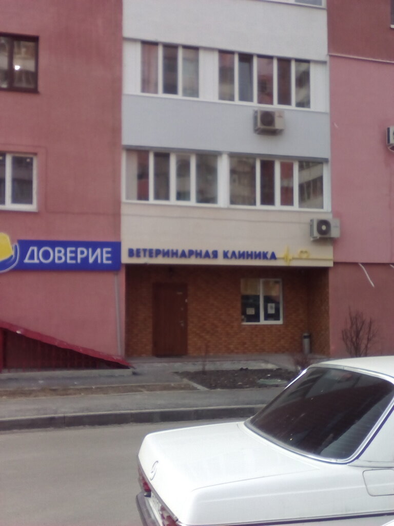 Pet hotel Veterinarnaya klinika Doveriye, Kharkiv, photo