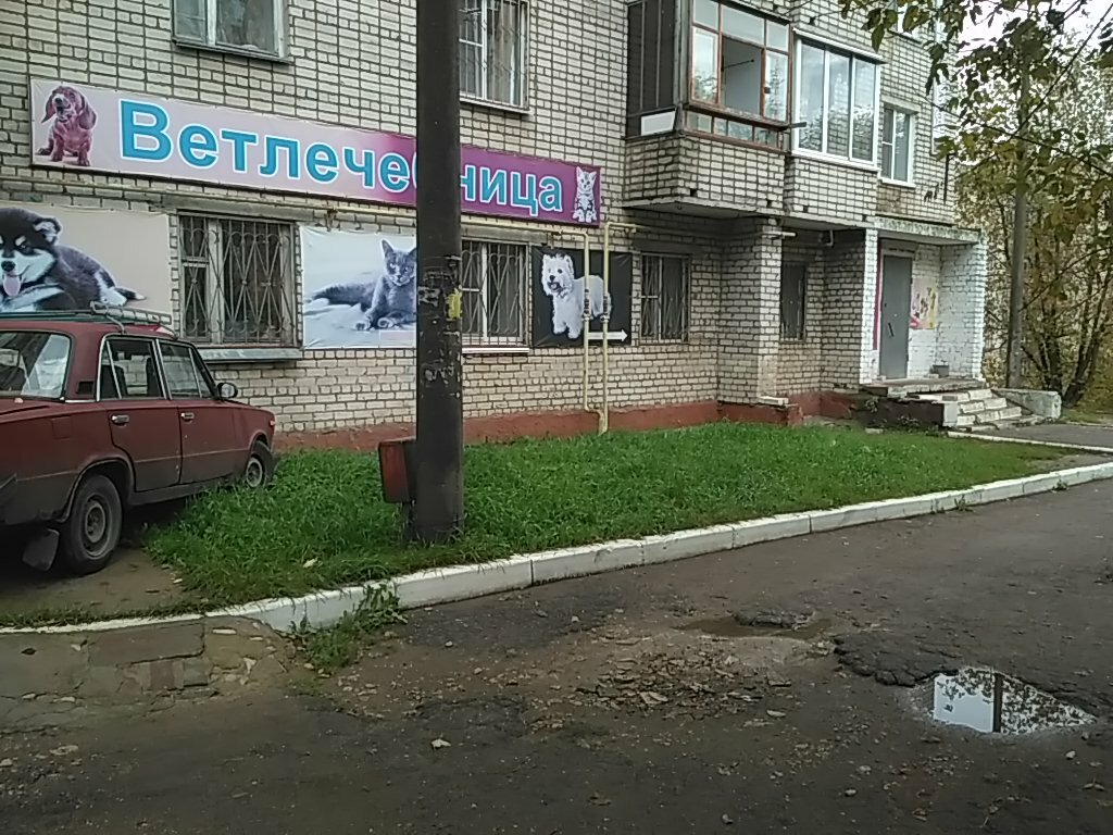 Ветеринарная клиника Зооветцентр, Смоленск, фото