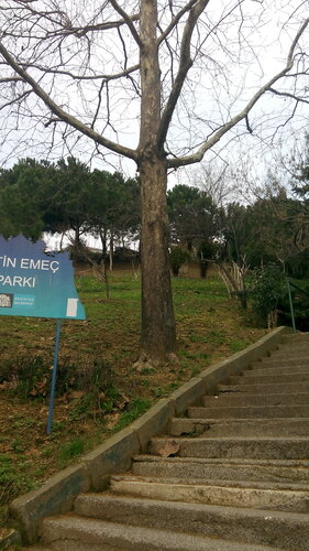 muradiye spor klubu hali saha tesisleri spor tesisi dikilitas mah emirhan cad no 8 besiktas istanbul turkiye yandex haritalar