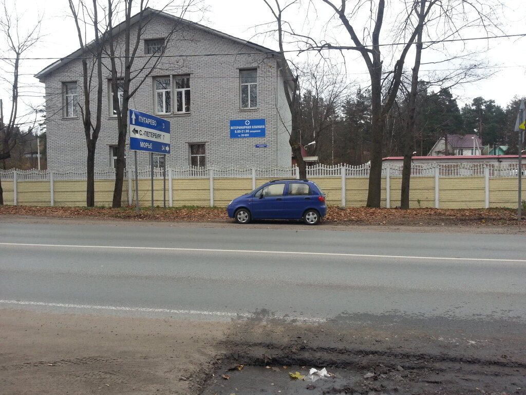 Veterinary clinic Animal disease control station of Vsevolozhsky district, Vsevolgsk, photo