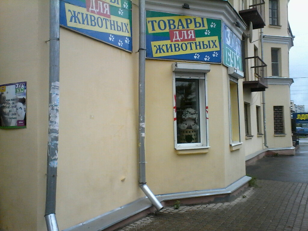 Зоомагазин Кострома Интернет Магазин
