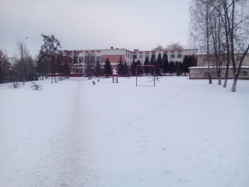 School School № 35 named after A.G. Perelygin, Orel, photo