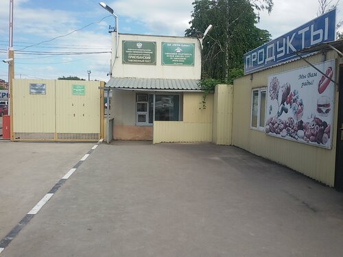 Карина петра метальникова