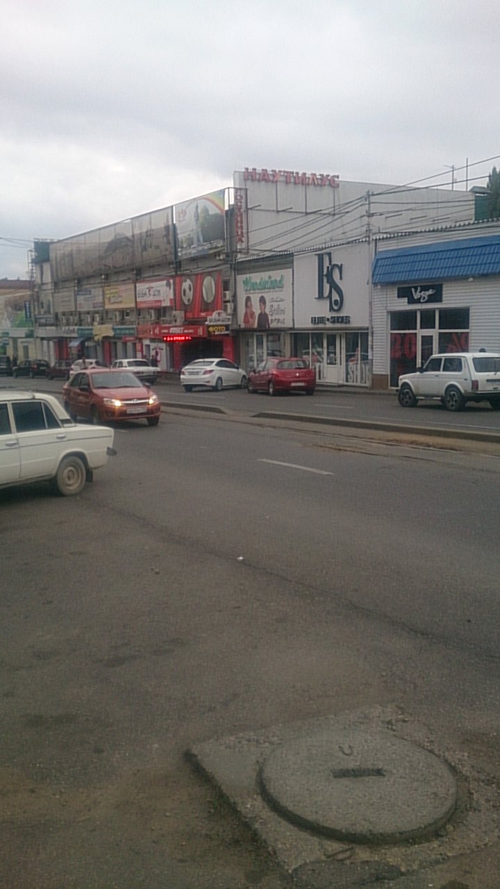 Фото Наутилус