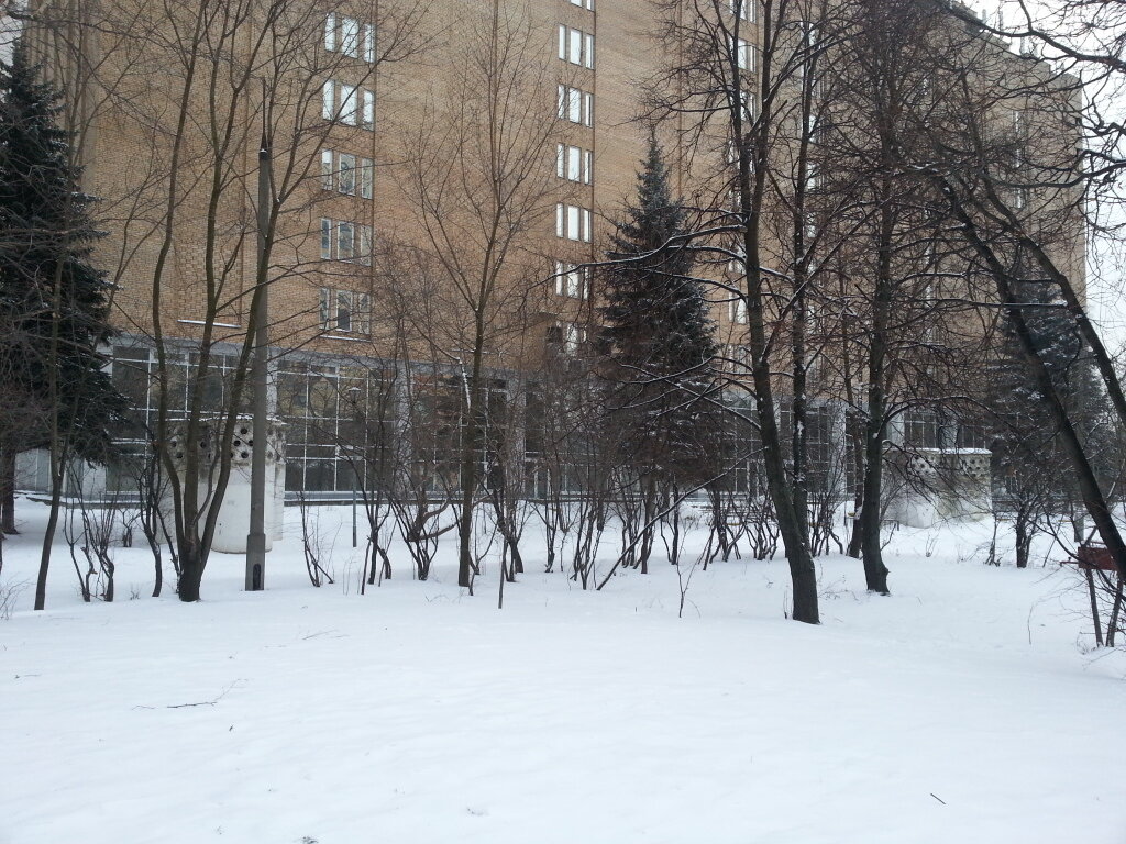 Library Otdelenie Rossiyskoy gosudarstvennoy biblioteki V Chimkach, Himki, photo