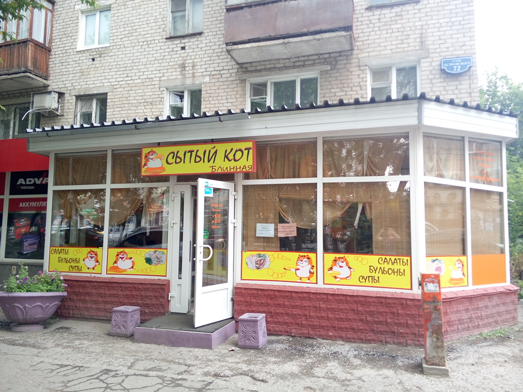 Сытый кот ул дзержинского 14 фото