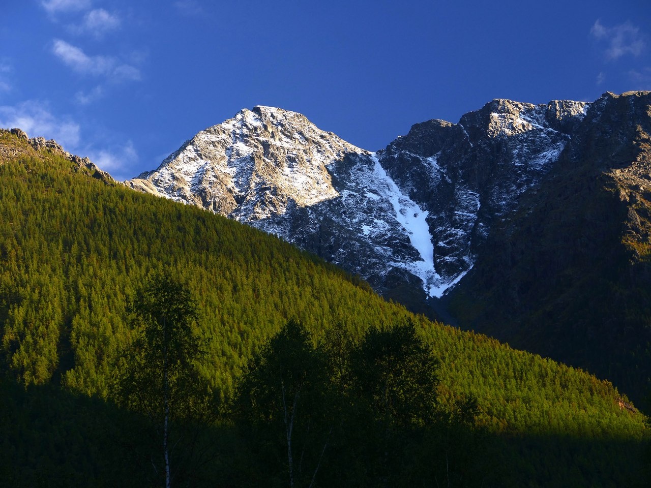 Фото Приют Романтиков
