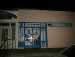 Veterinarnaya klinika Zoodoktor (Lisovyi Avenue, 39А) ، عيادة بيطرية