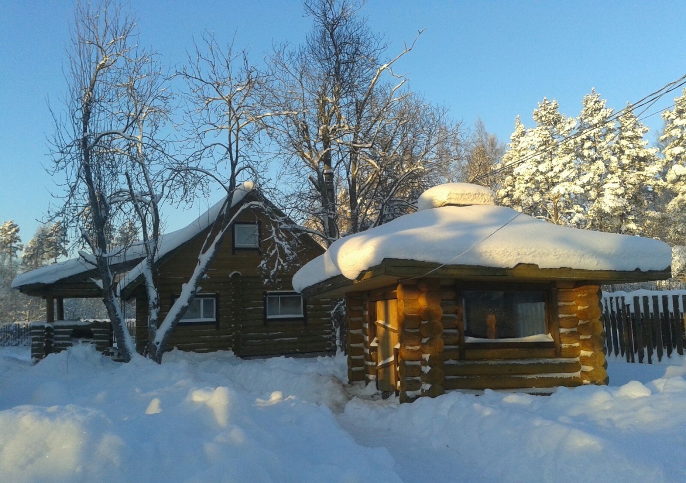 Фото Беличье