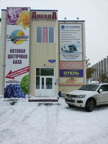 Таможня новосибирск авто