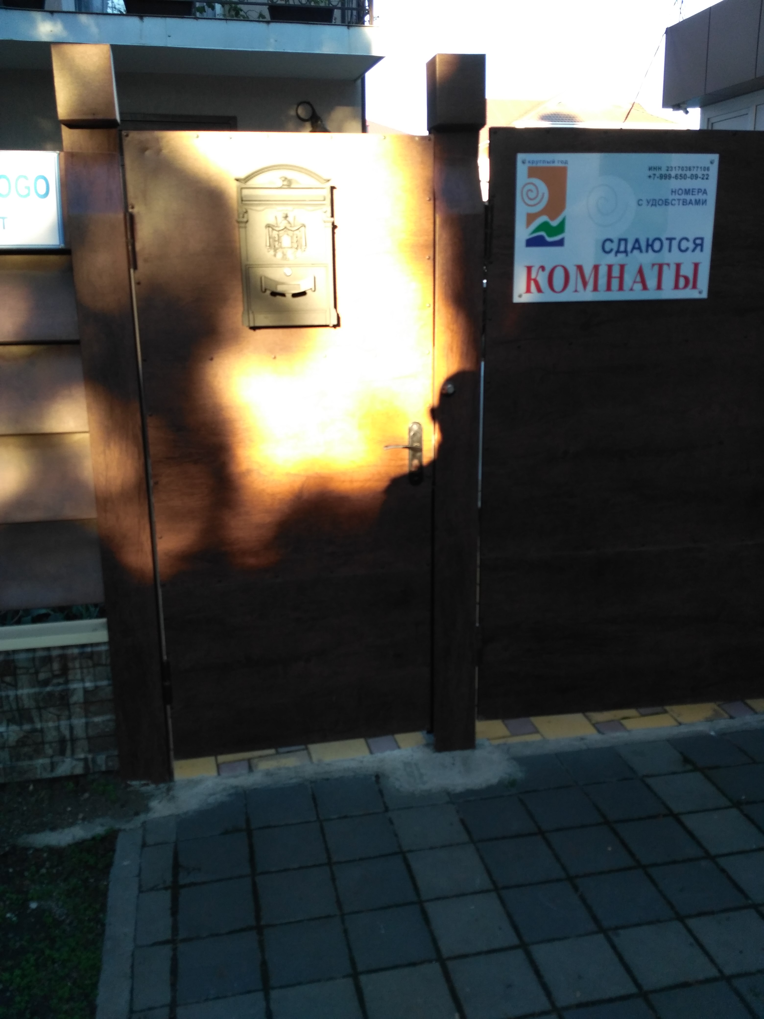 Фото Лаванда