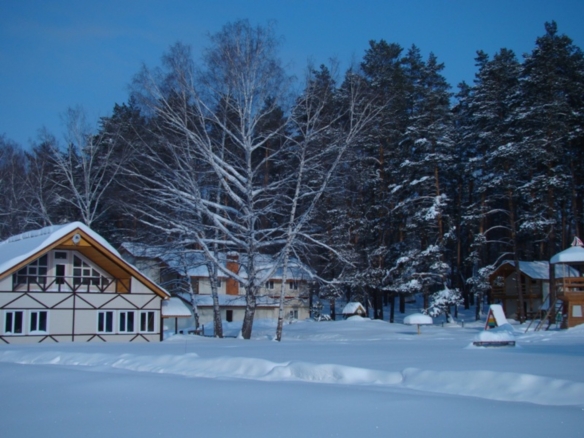 Фото Лебяжье