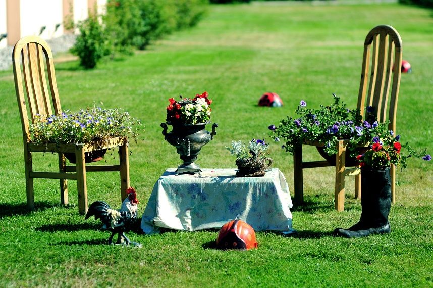 Фото Розовая дача