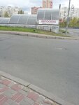 Remont avtostekla Glass Express (Mykoly Bazhana Avenue, 16А), auto glass
