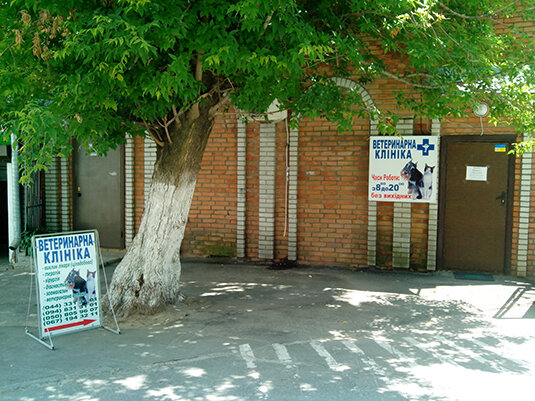 Clínica veterinaria Veterinarnaya klinika Ivet na Pecherske, , foto