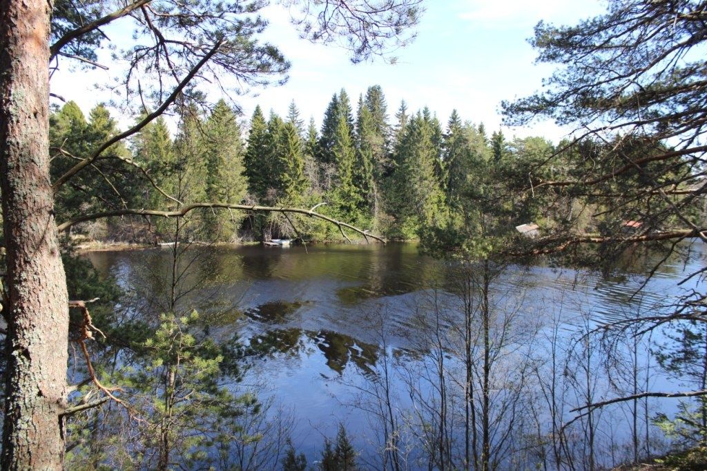 Фото Алавойне