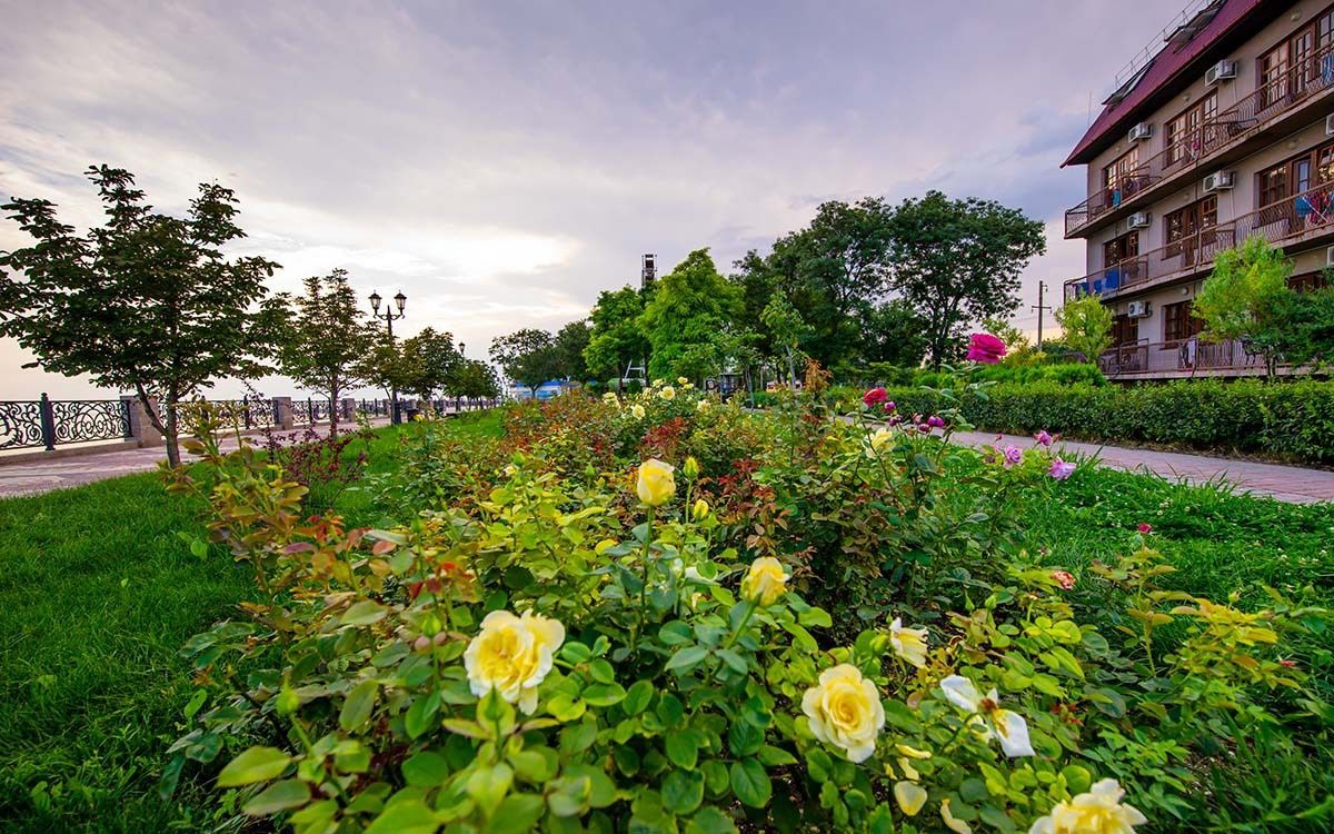 Фото Каменка