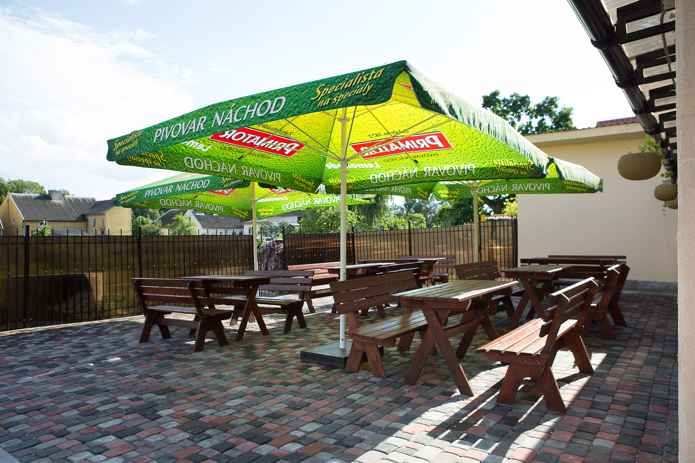 Фото Серый гусь