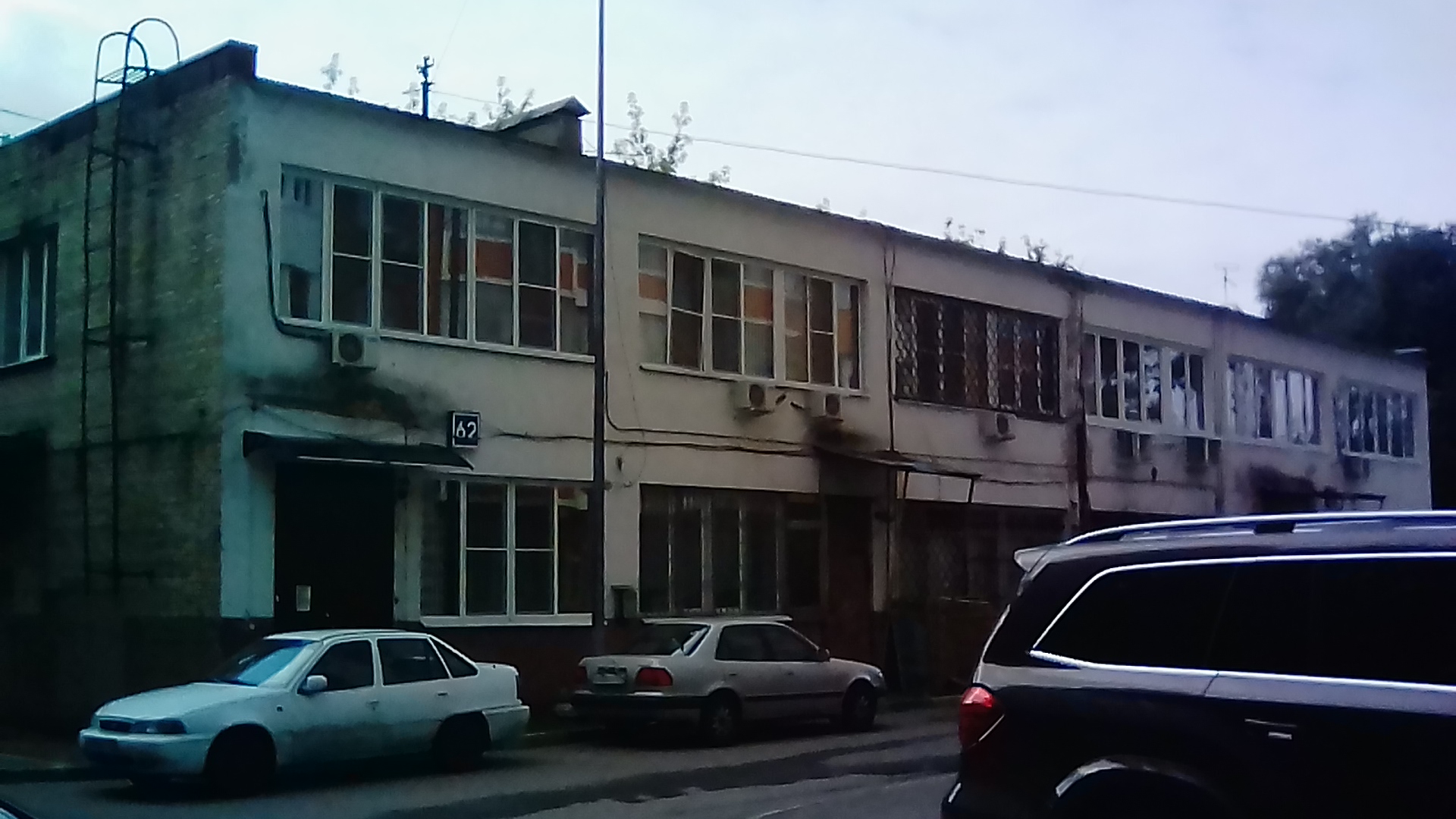 Фото Брусника Амурская