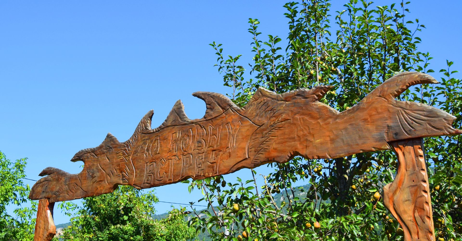 Фото Кордес