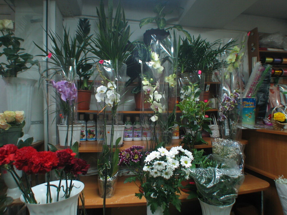 Flower shop Tsvety, Chernihiv, photo