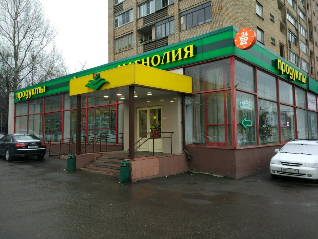 Supermarket Magnolia, Moscow, photo