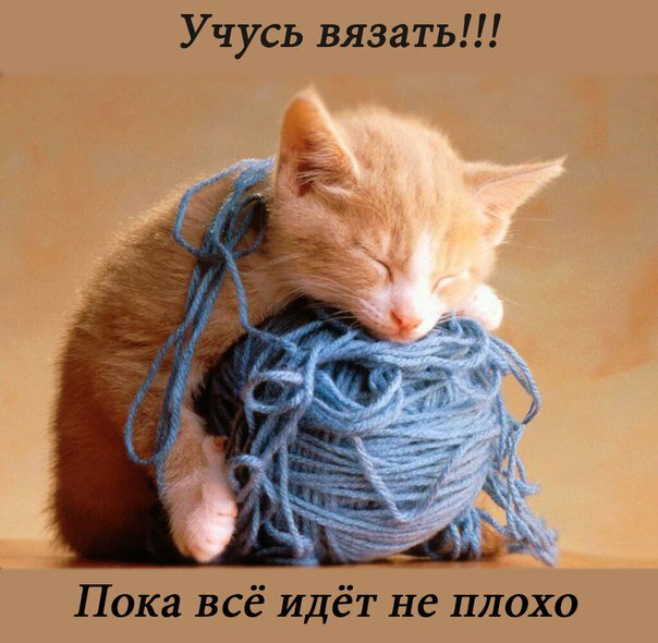 Art supplies and crafts Magazin Pryazha, Krasnoyarsk, photo