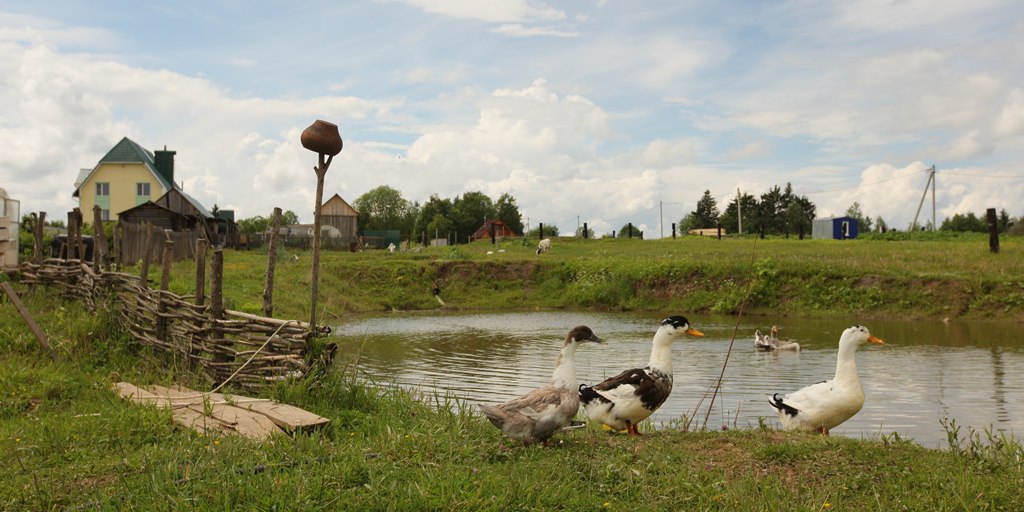 Фото Гостевой комплекс Савапиян