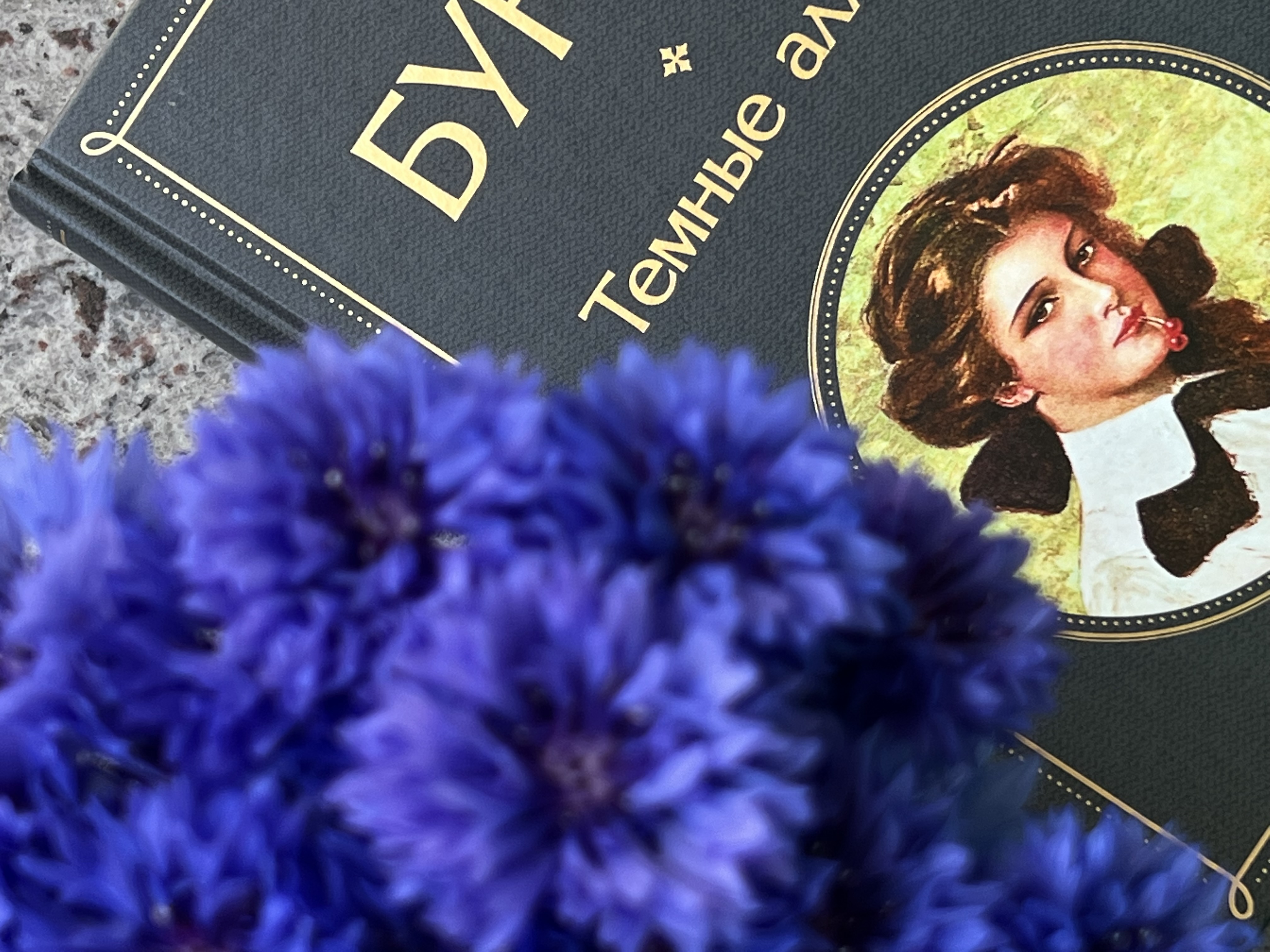 Фото Северный цветок