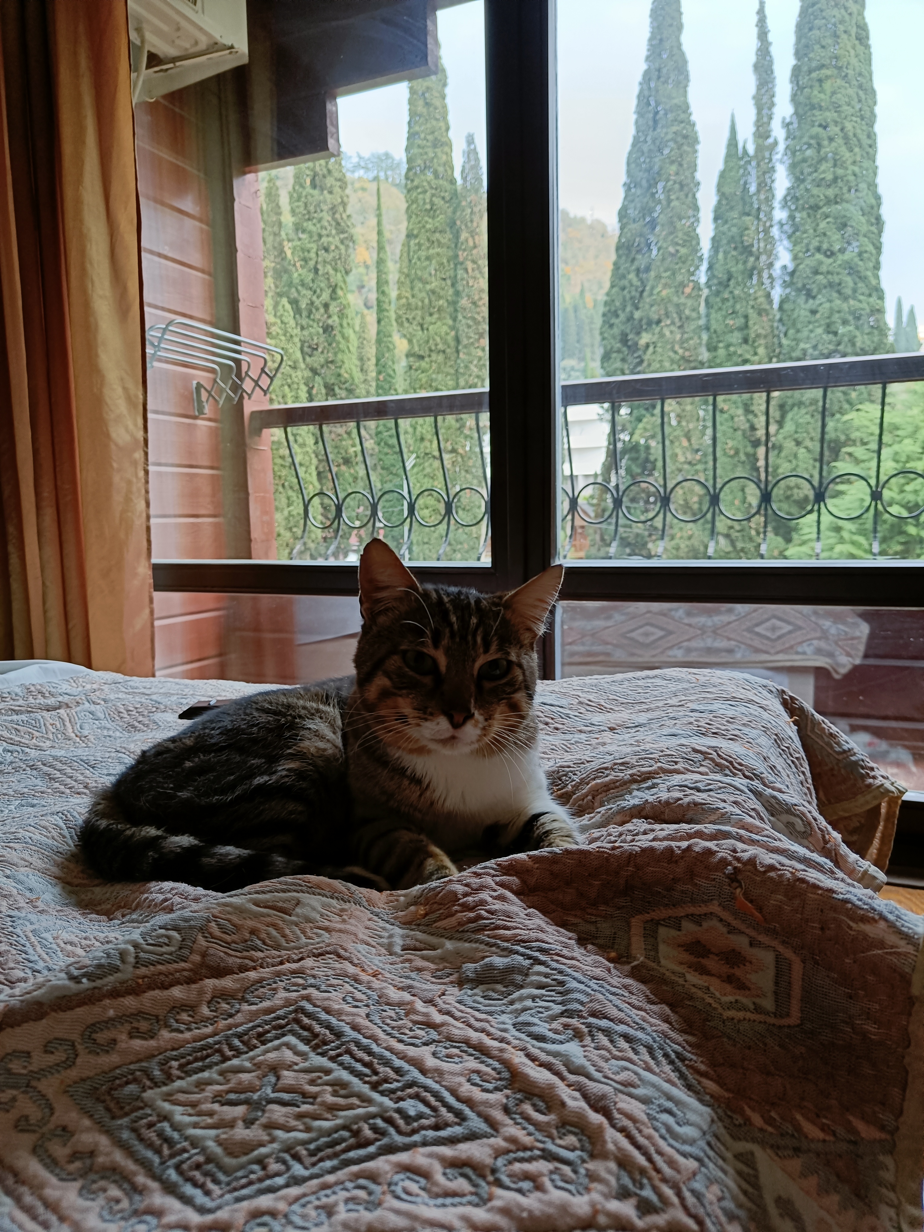 Фото Отель Грифон