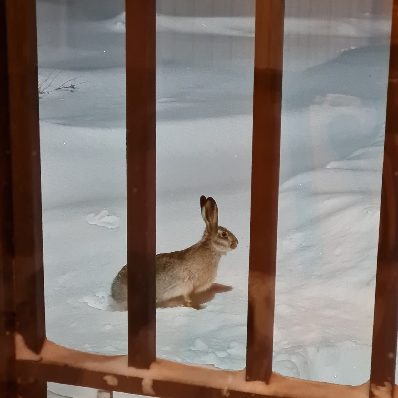 Фото Семейный дом