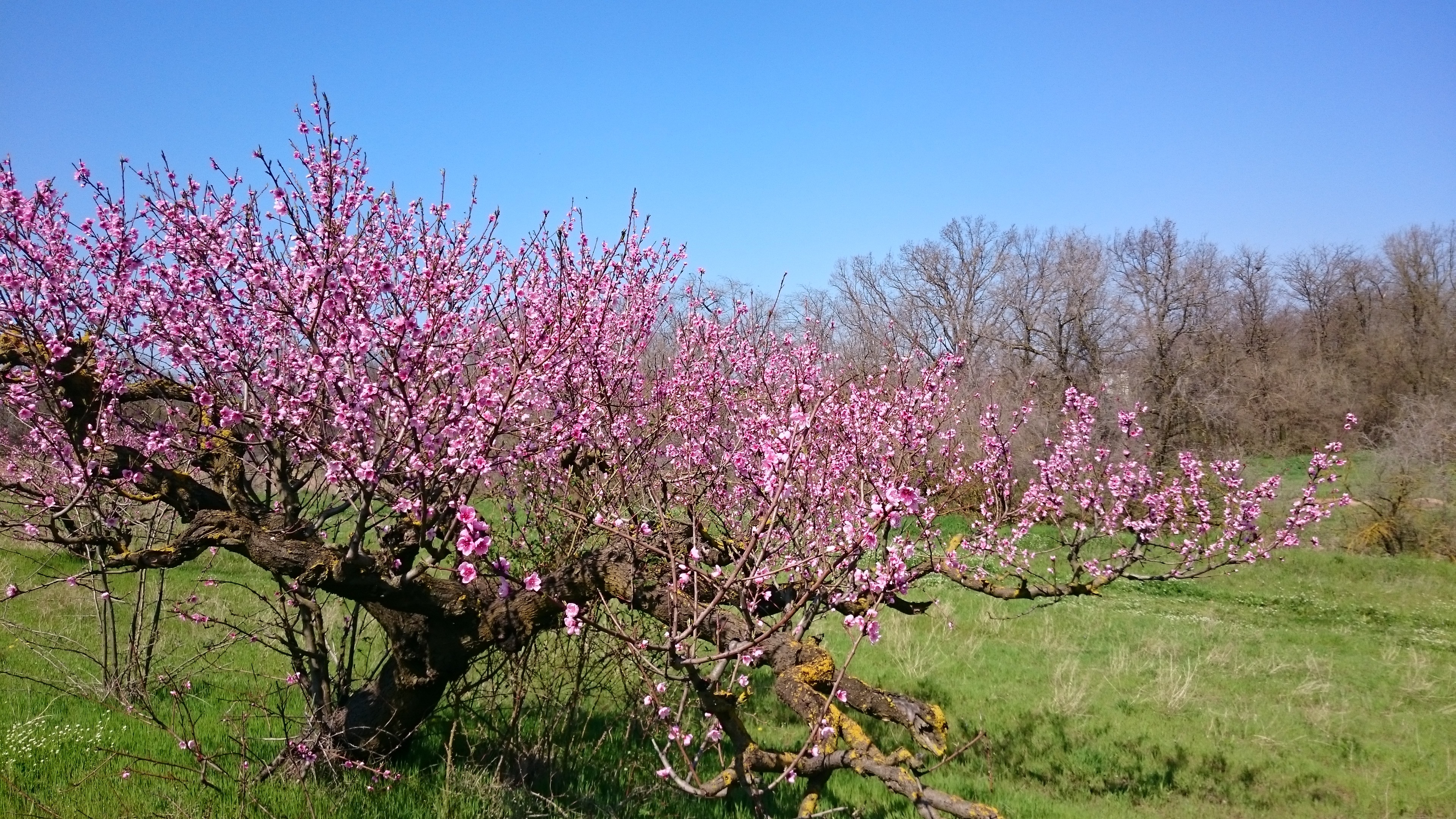 Фото ТО, что надо!