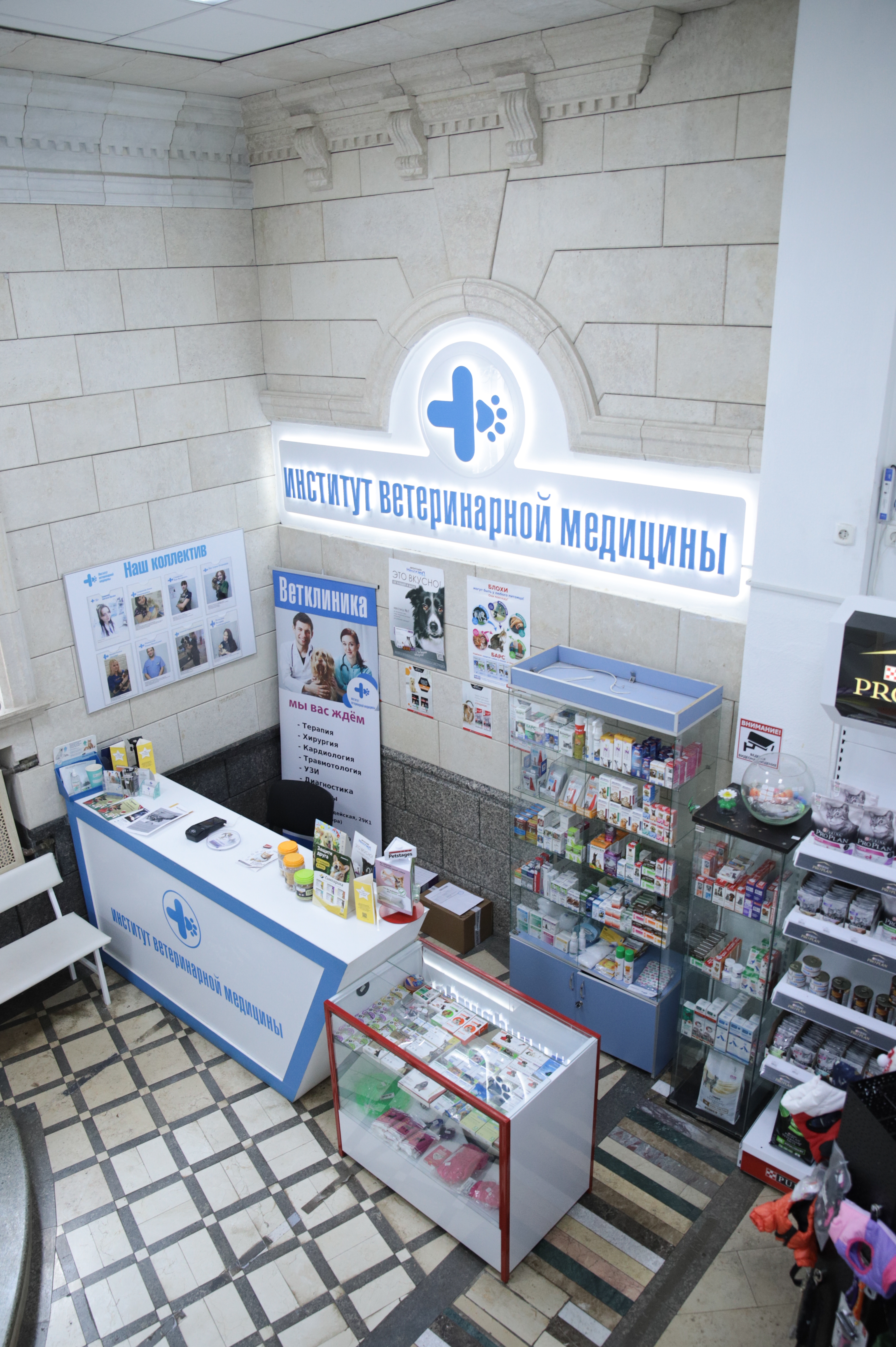 Институт ветеринарной медицины - фото 2
