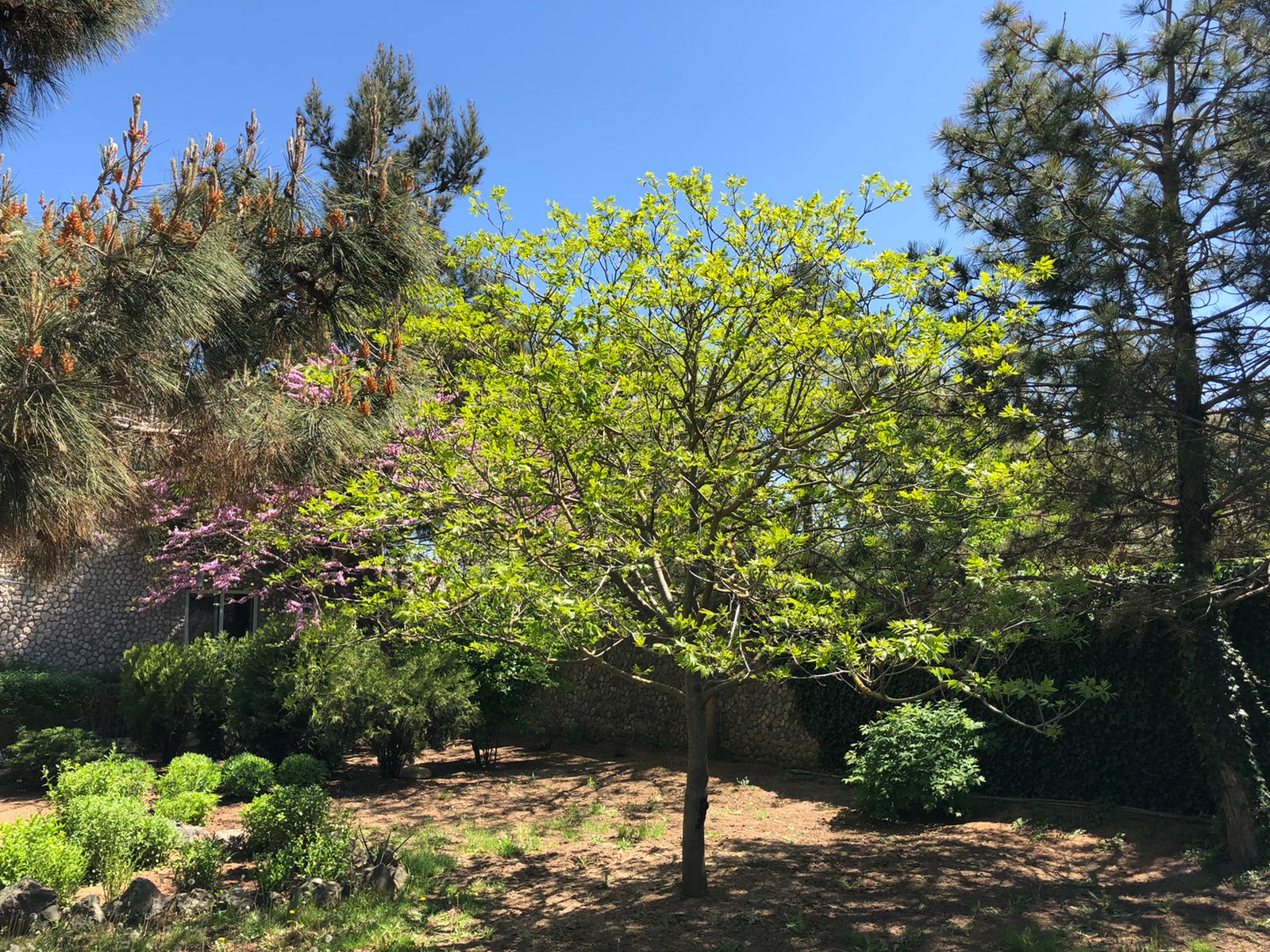 Фото Вилла Корфу