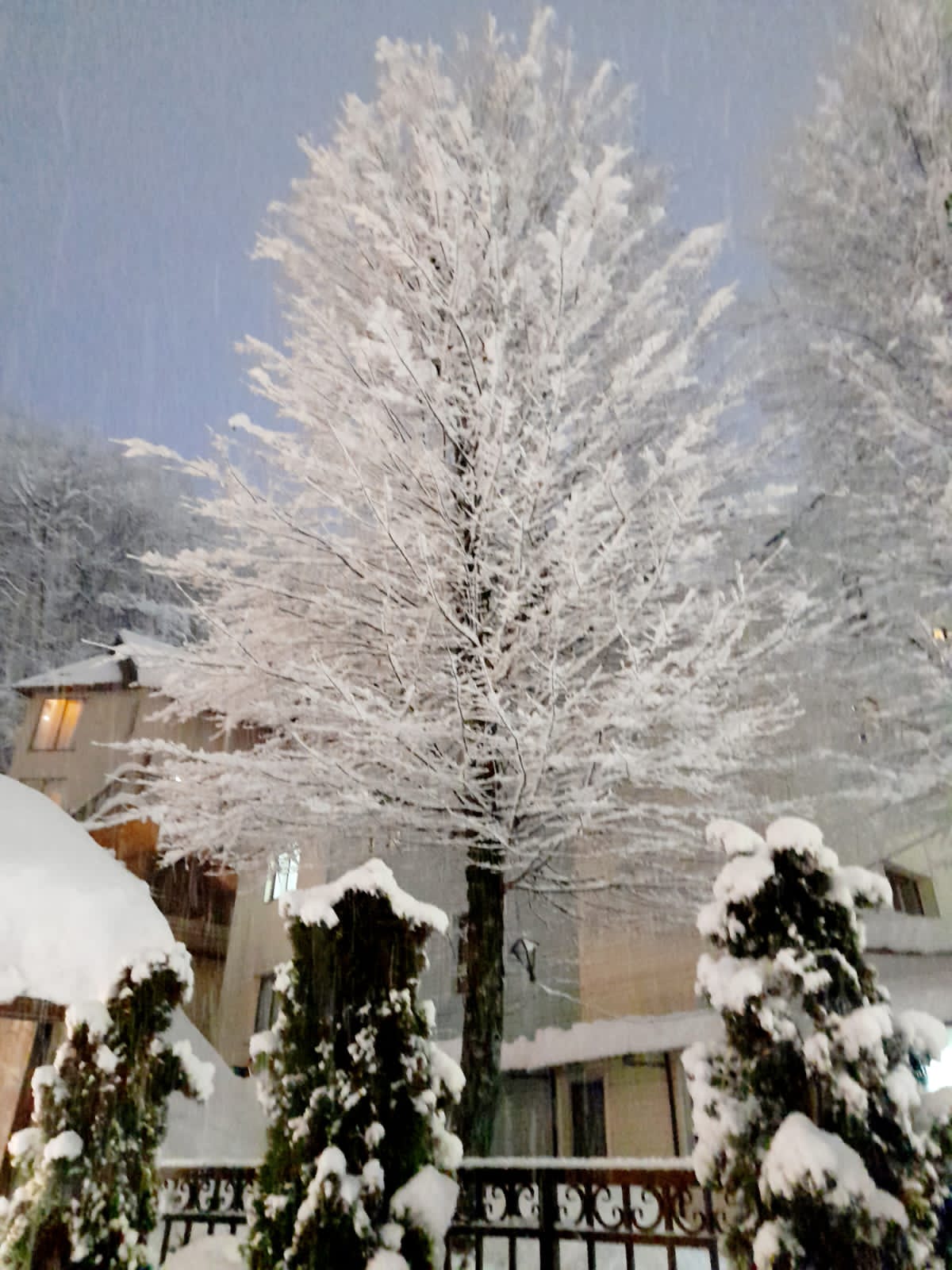 Фото Тройка