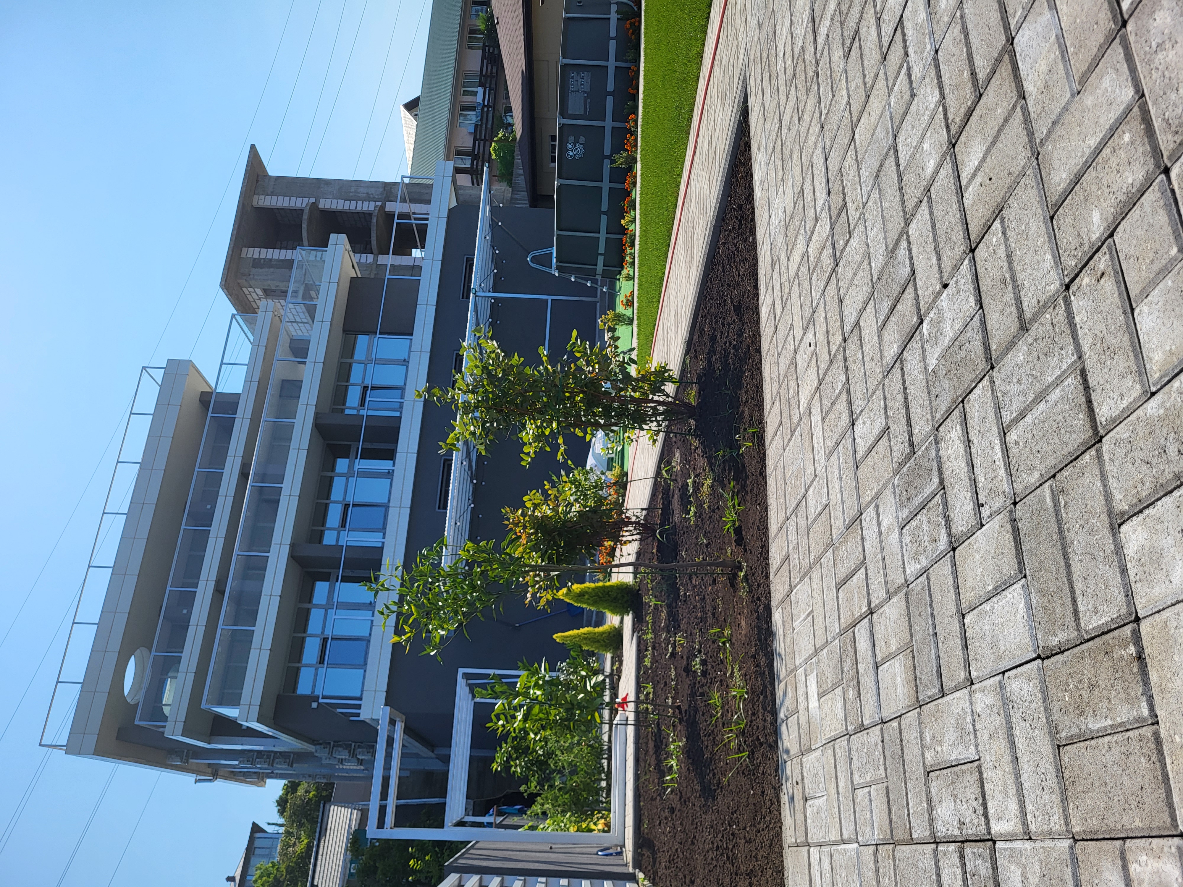 Фото Mountain Air