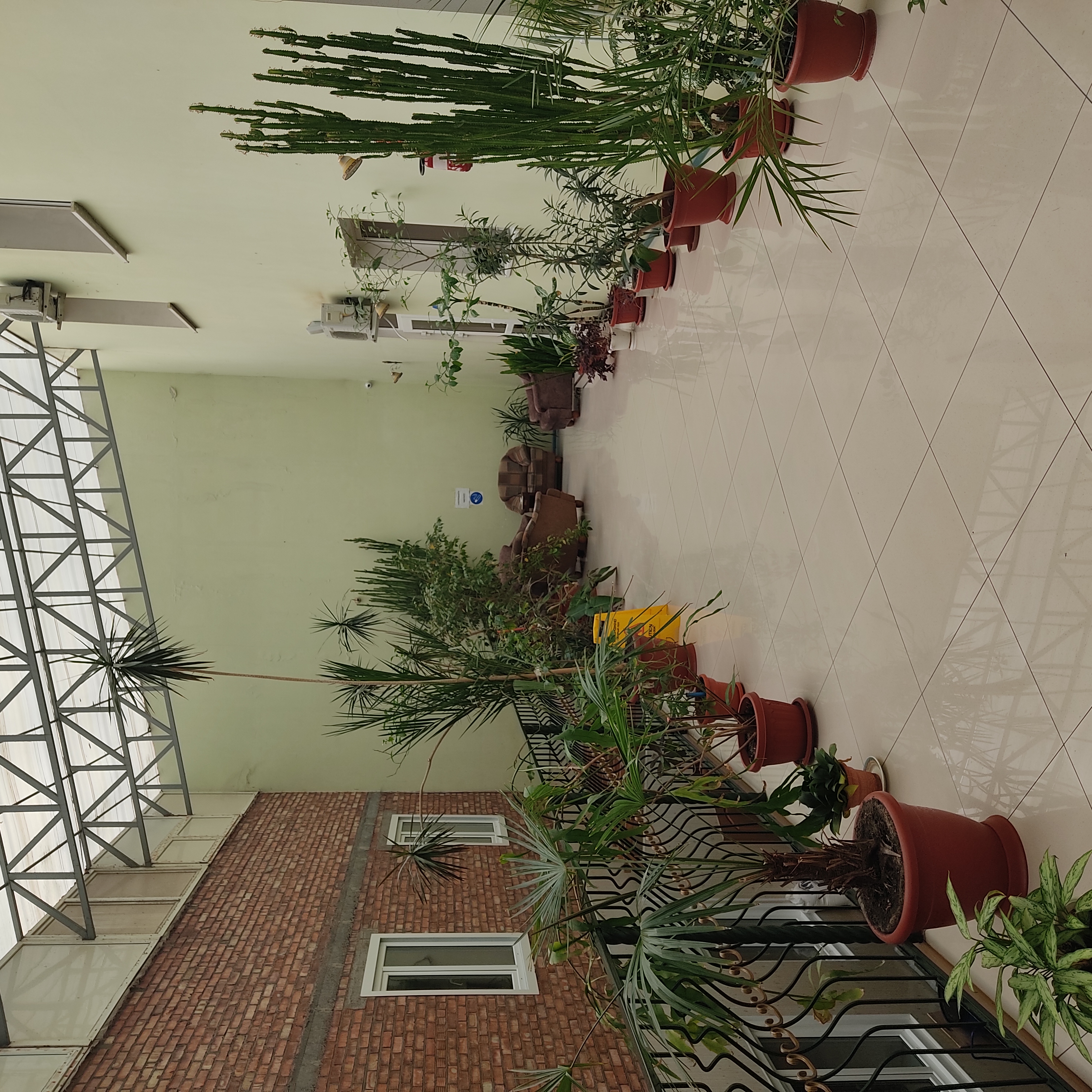 Фото Дарьял