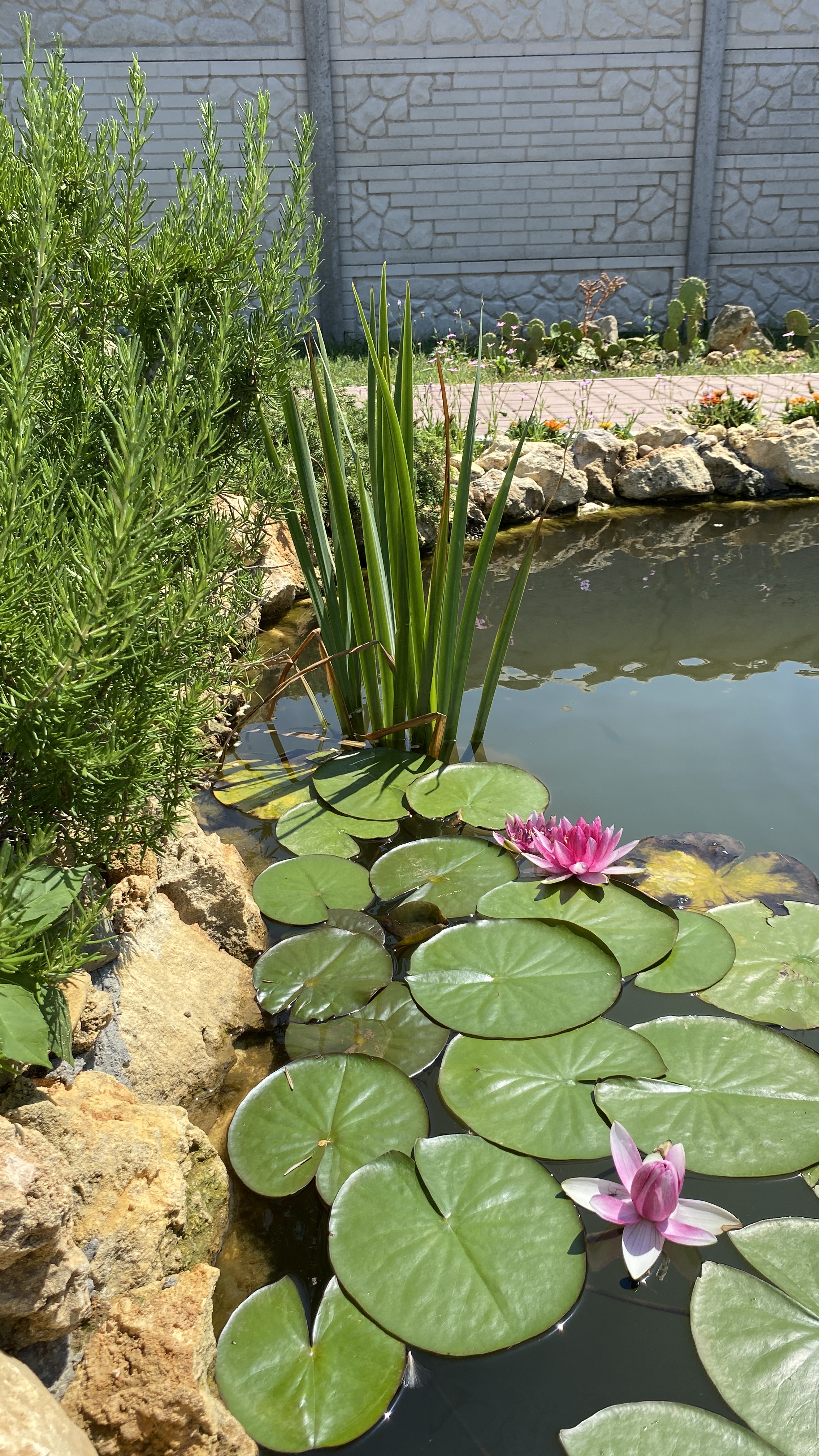 Фото РомПоль