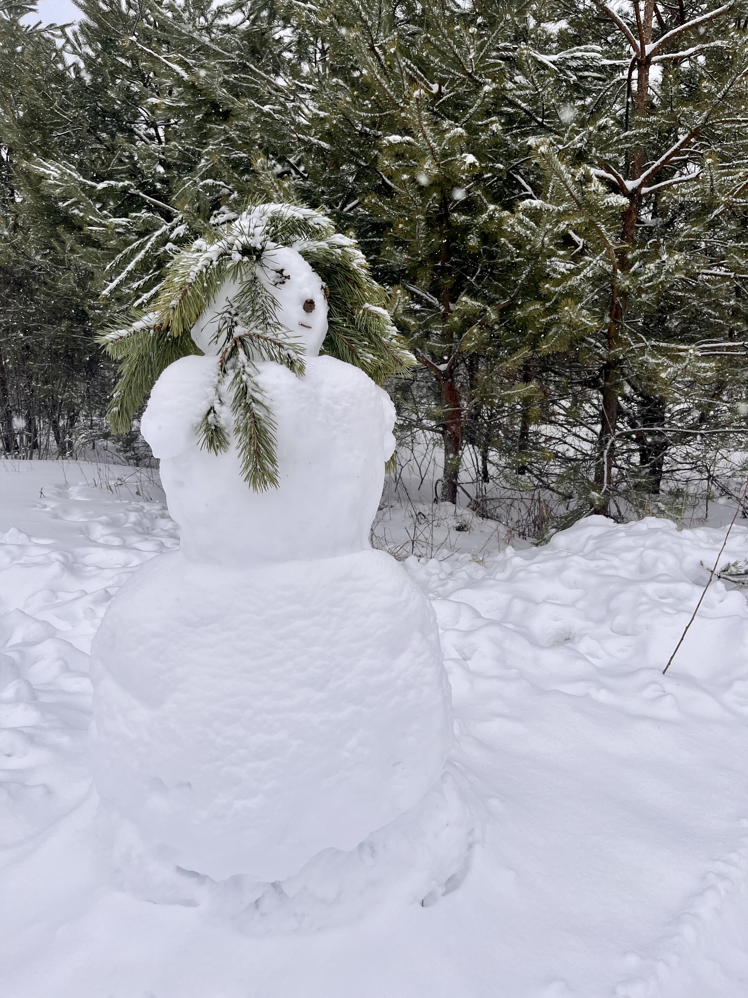 Фото Арт Хаус